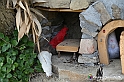 VBS_3138 - Mango (Cuneo) - Gnomovia